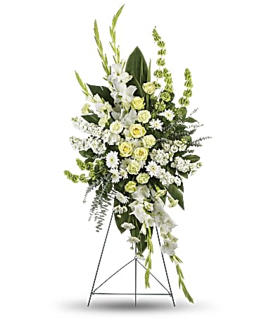 Magnificent Life Spray Sympathy - An elegant expression of sympathy, this wondrous white and green spray conveys purity and peace. A glorious choice for a magnificent memorial. This gorgeous array of green roses, green carnations, white gladioli, white stock, white cushion spray chrysanthemums and bells of Ireland is accented with green ti leaves, spiral eucalyptus and lemon leaf.
