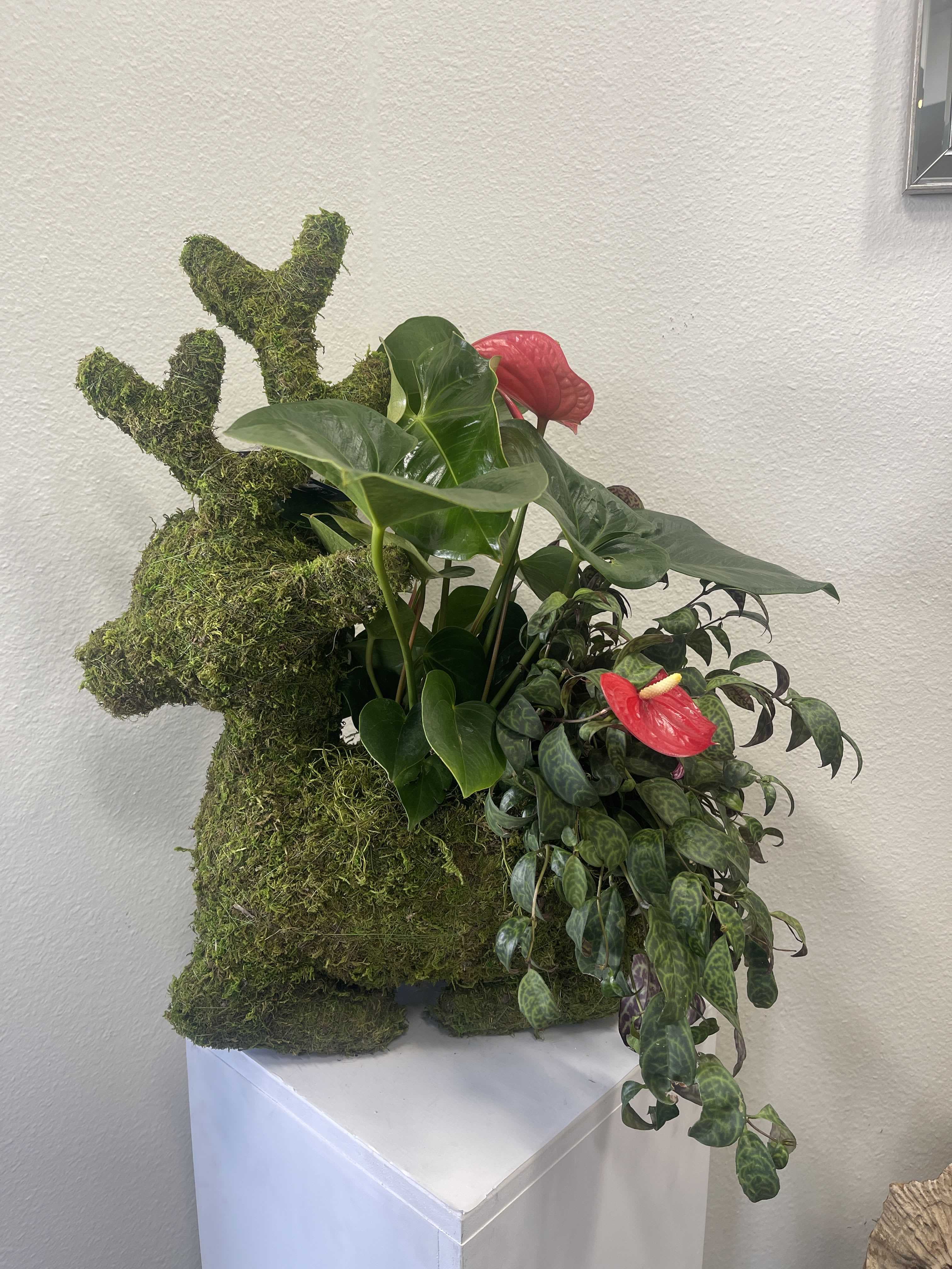 Reindeer planter - Beautiful reindeer with live plants