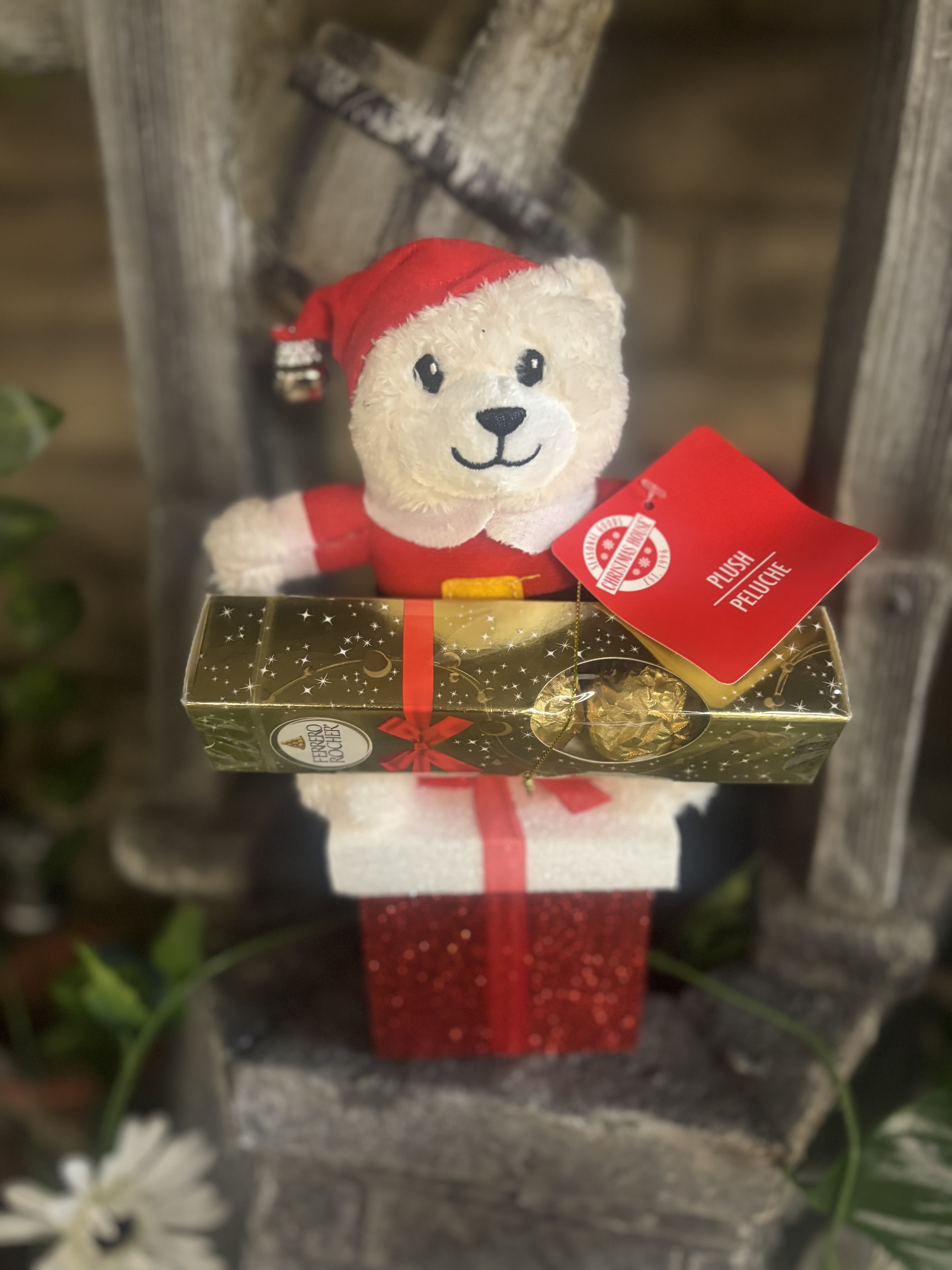 Bear &amp; Chocolate  - chocolate and bear in gift 