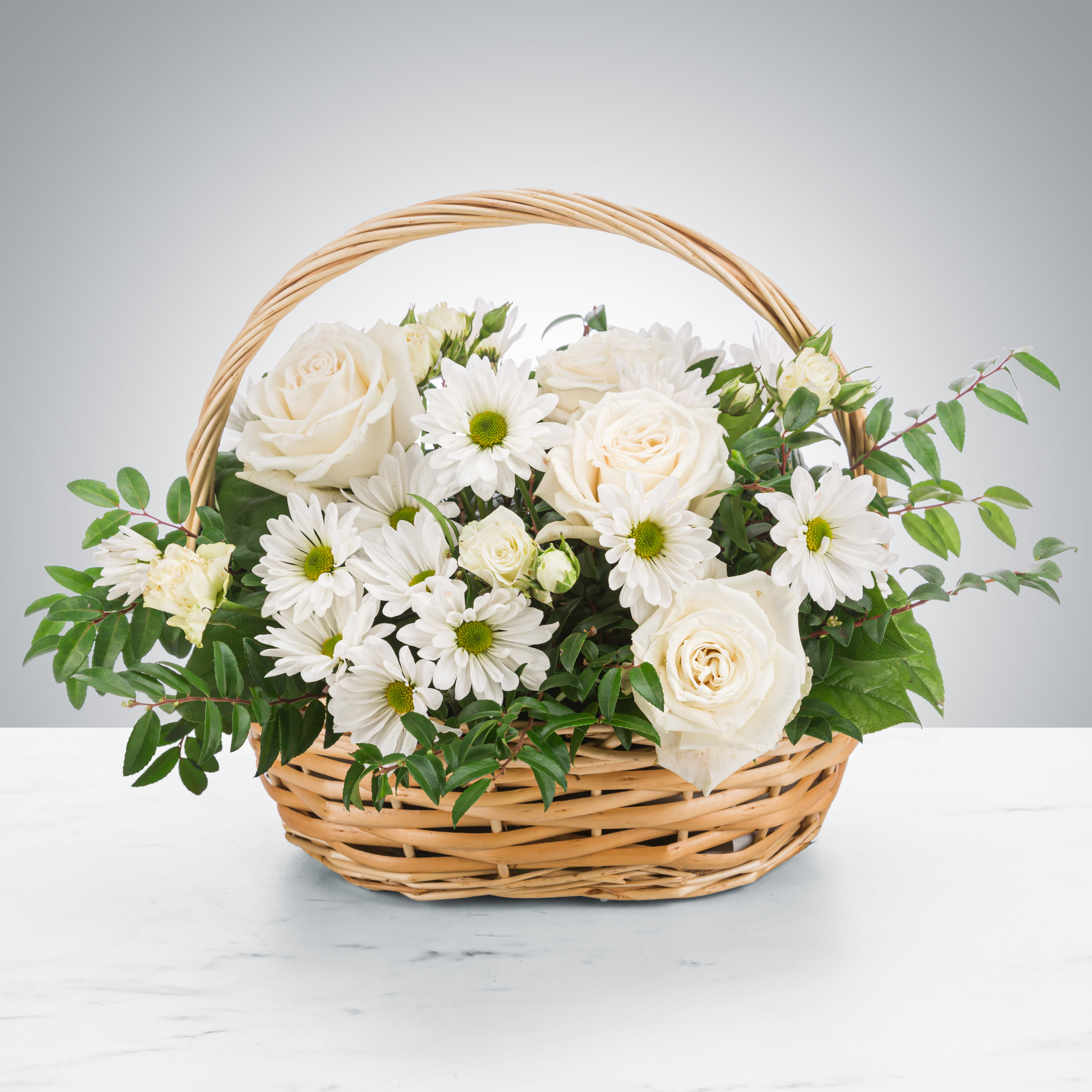Pristine by Katya's Flowers - A peaceful white and green basket featuring white daisy mums and white roses with greenery in a basket. Send your sympathies to the home.  Approximate Dimensions: 14"D x 10"H