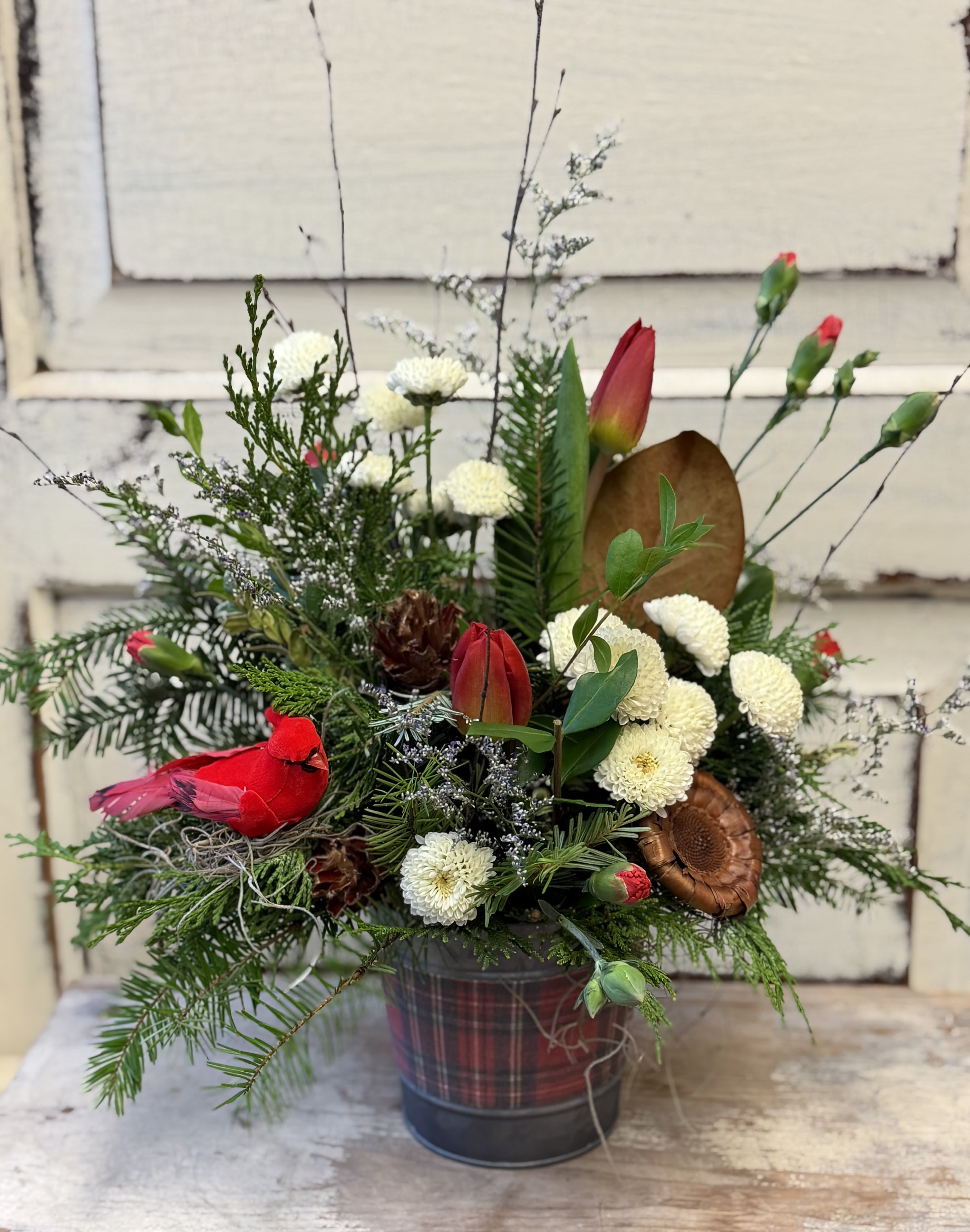 Hope and Love - Send well wishes for the season and the coming year. This smaller arrangement in a plaid metal pot is designed with evergreens, cones and blooms and also, a cardinal or symbol of hope as a keepsake.