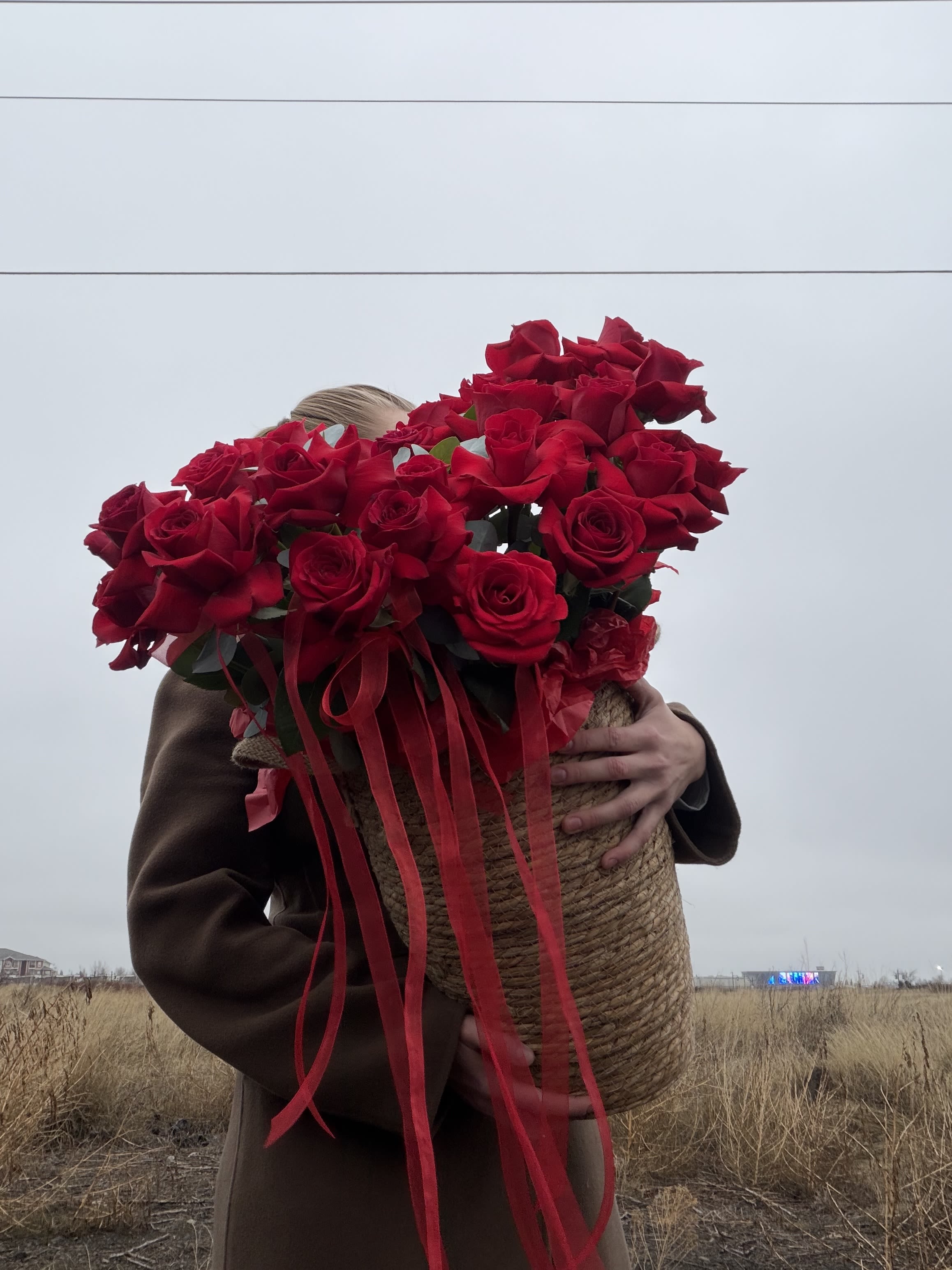 Scarlet Luxury Rose Basket - This stunning arrangement features a lush collection of premium red roses, expertly designed in a woven basket and finished with flowing crimson ribbons for a refined, romantic touch. Each rose is carefully selected for its rich color, fullness, and freshness, creating a bold yet timeless statement of love and elegance.   This arrangement embodies passion, sophistication, and enduring beauty. Designed to leave a lasting impression, it is a true centerpiece of luxury floral artistry.