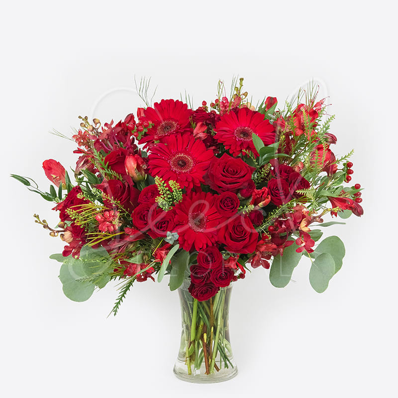 Monochromatic Collection: Red - Our Monochromatic Collection: Red is a striking celebration of passion and elegance, featuring a lush mix of premium seasonal red flowers arranged to perfection. This vibrant design showcases the depth and drama of a single hue — rich, romantic, and undeniably luxurious. Handcrafted by our expert floral designers, this all-red flower arrangement brings warmth, confidence, and sophistication to any occasion. Whether for love, celebration, or a bold décor statement, the Red Monochromatic Collection is the ultimate expression of power and beauty through color.