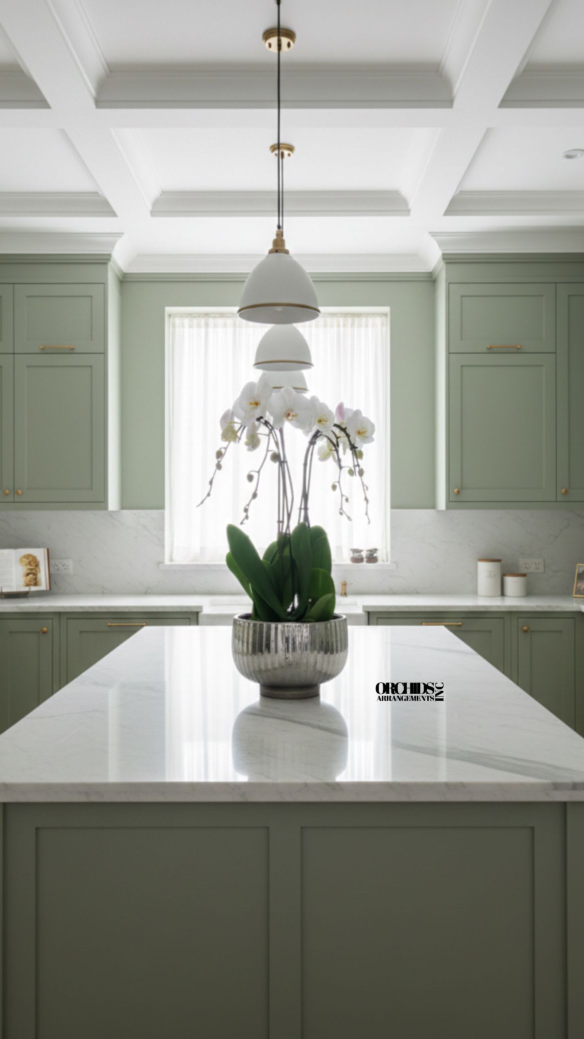 Same Day Orchid White Flower - A high quality Four white orchid arrangement with a vase 12.5" D X 5" T. An orchid arrangement flower deliver for any occasion design with fresh natural real beautiful Phalaenopsis cascade orchid plant minimalist decor.