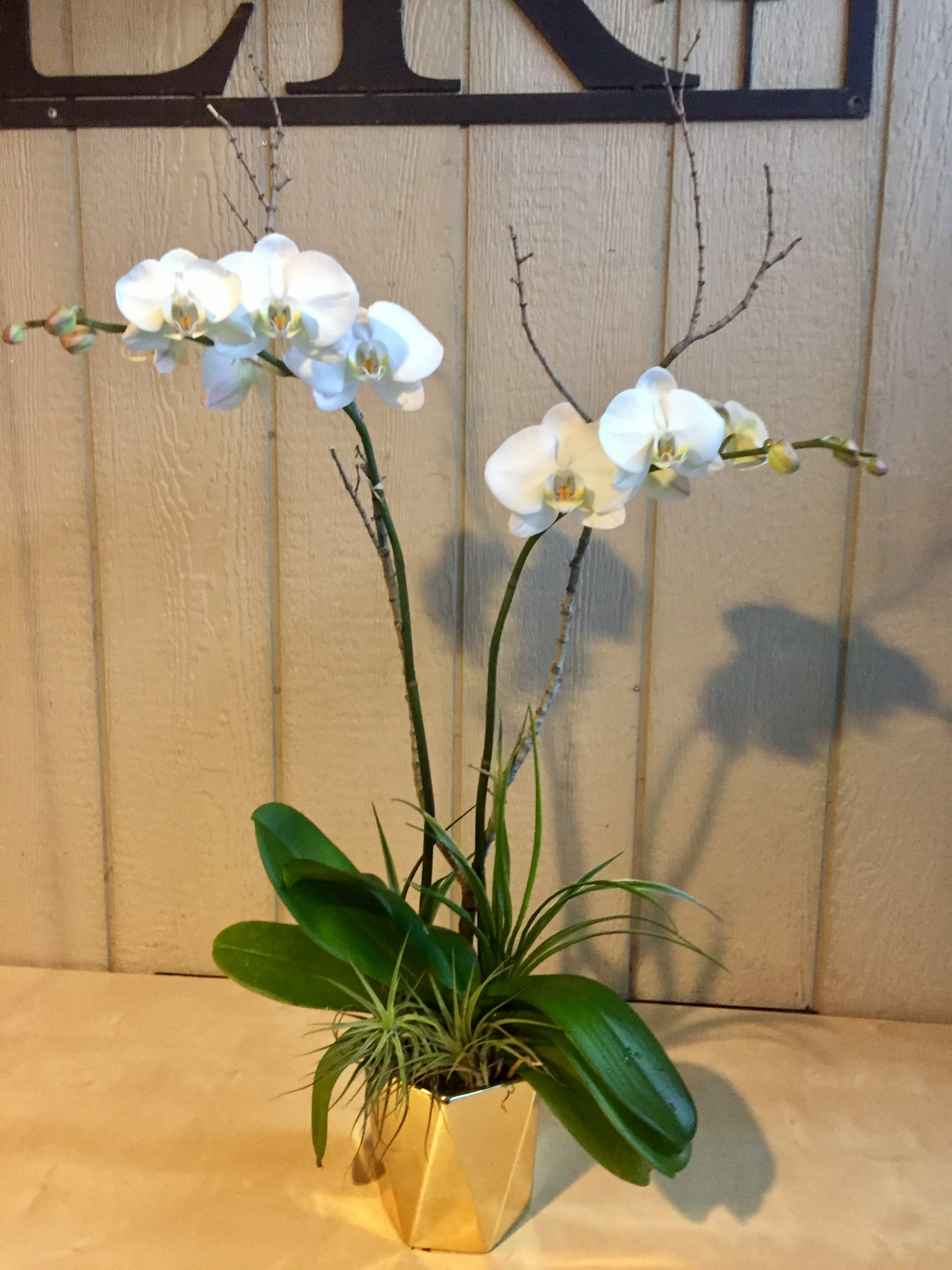 White phalaenopsis  - Nice ceramic vase with orchid spray with a two brunches 