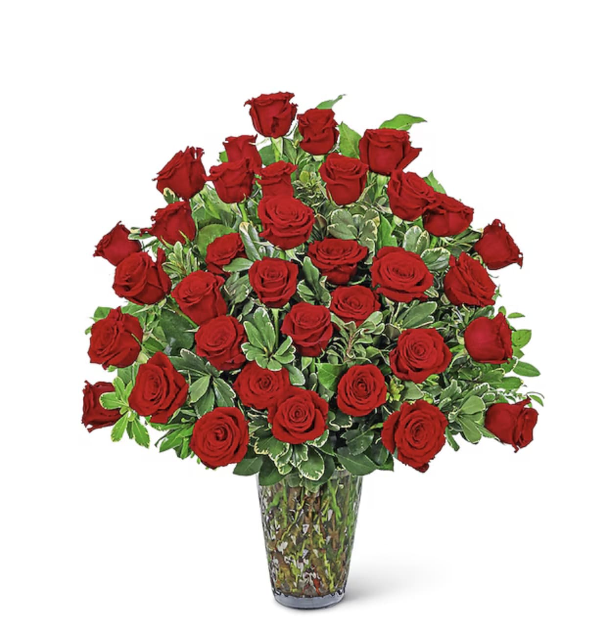 3 dozen Red roses - 3 dozen red roses FILLER IN A VASE