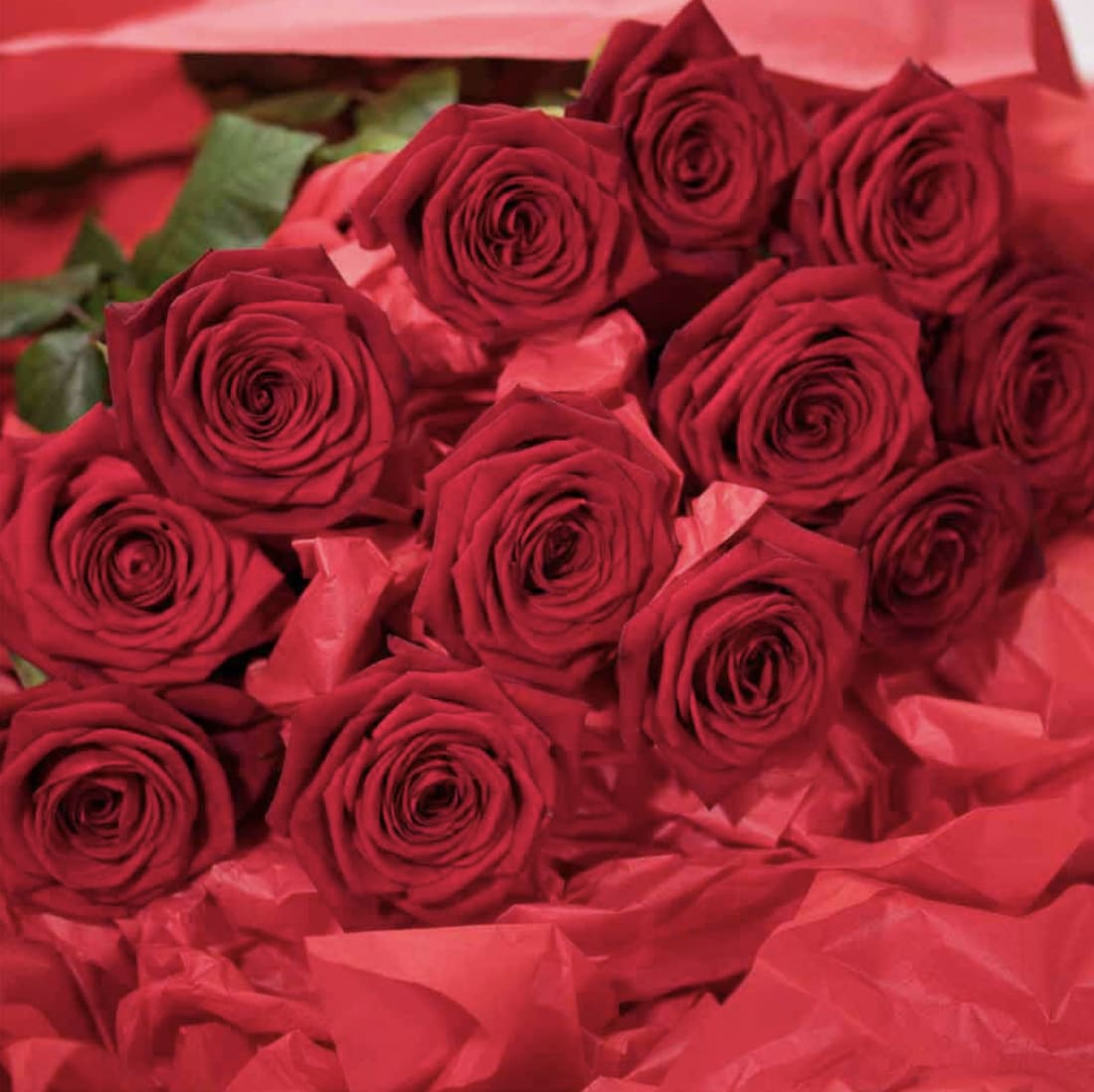 Long Stemmed Red Roses - Indulge in true love and devotion with our breathtaking bouquet of Long Stemmed Red Roses arranged with greenery , filler and a glass vase.