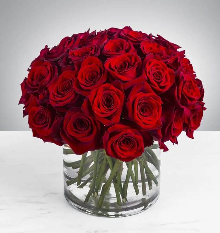 Three Dozen Red Roses by BloomNation™ - Make a bold statement with this beautifully simple design. Three Dozen Red Roses by BloomNation™ is the perfect gift for Valentine's Day, an Anniversary, or when anytime you're feeling romantic.   Arrangement Details: Three dozen red roses in a glass cylinder vase.  APPROXIMATE DIMENSIONS are 12"D X 12"H 