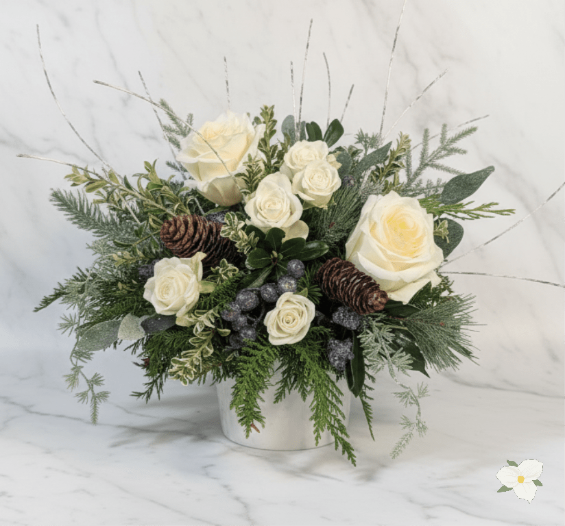 Winter Wonderland - Winter Wonderland captures the quiet beauty of a snow-covered forest. This elegant arrangement features creamy white roses nestled among lush seasonal evergreens, accented with frosted pinecones, silvery winter foliage, and subtle sparkling details. Designed in a classic white ceramic container, this bouquet offers a clean, timeless look that complements any winter décor. Perfect for winter celebrations, heartfelt gifts, sympathy expressions, or adding a peaceful holiday touch to your home.