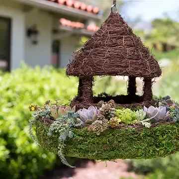Outdoor Birdhouse - Perfectly planted with Succulents leaving room for the birds to visit.