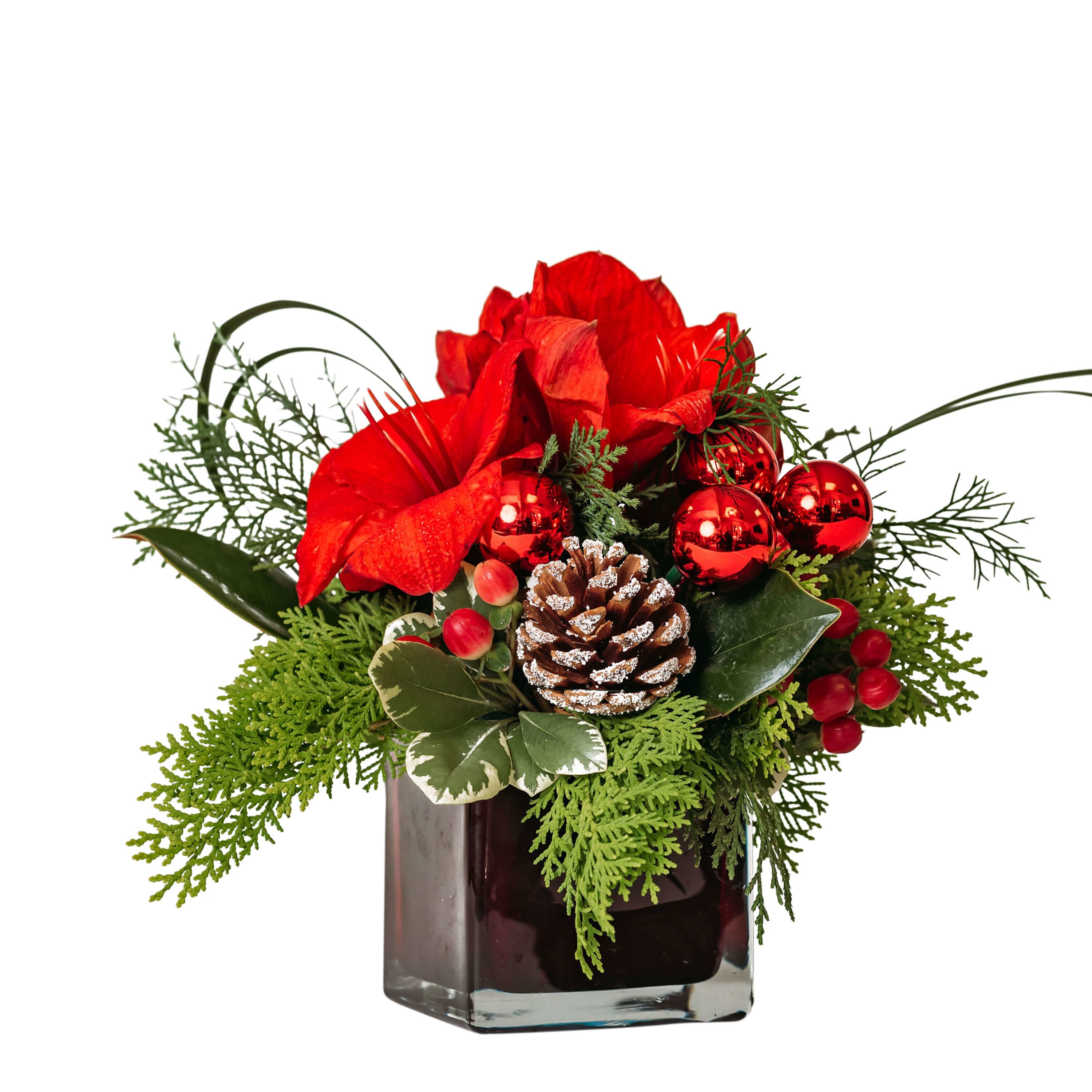 Sale -- Friends at the Table - Single - Company is here! Whether you are expecting a few or many, there is a Friends at the Table mix just for you! Amaryllis flowers adorned with Pinecones, ornaments, and more can be used alone or in groups.
