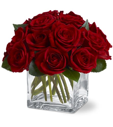 Teleflora's Dozen Rose Contempo - A dozen lush red roses, arranged into an unadorned bouquet, is an instant classic. Fragrant, glamorous and communicating the language of love, this gift can be sent from a man to a woman - or from a woman to a man. It's traditional yet modern, and simply perfect.  A dozen red roses are arranged in a clear glass Teleflora cube vase.  Approximately 9" (W) x 8" (H)  Orientation: All-Around  As Shown : TFWEB389