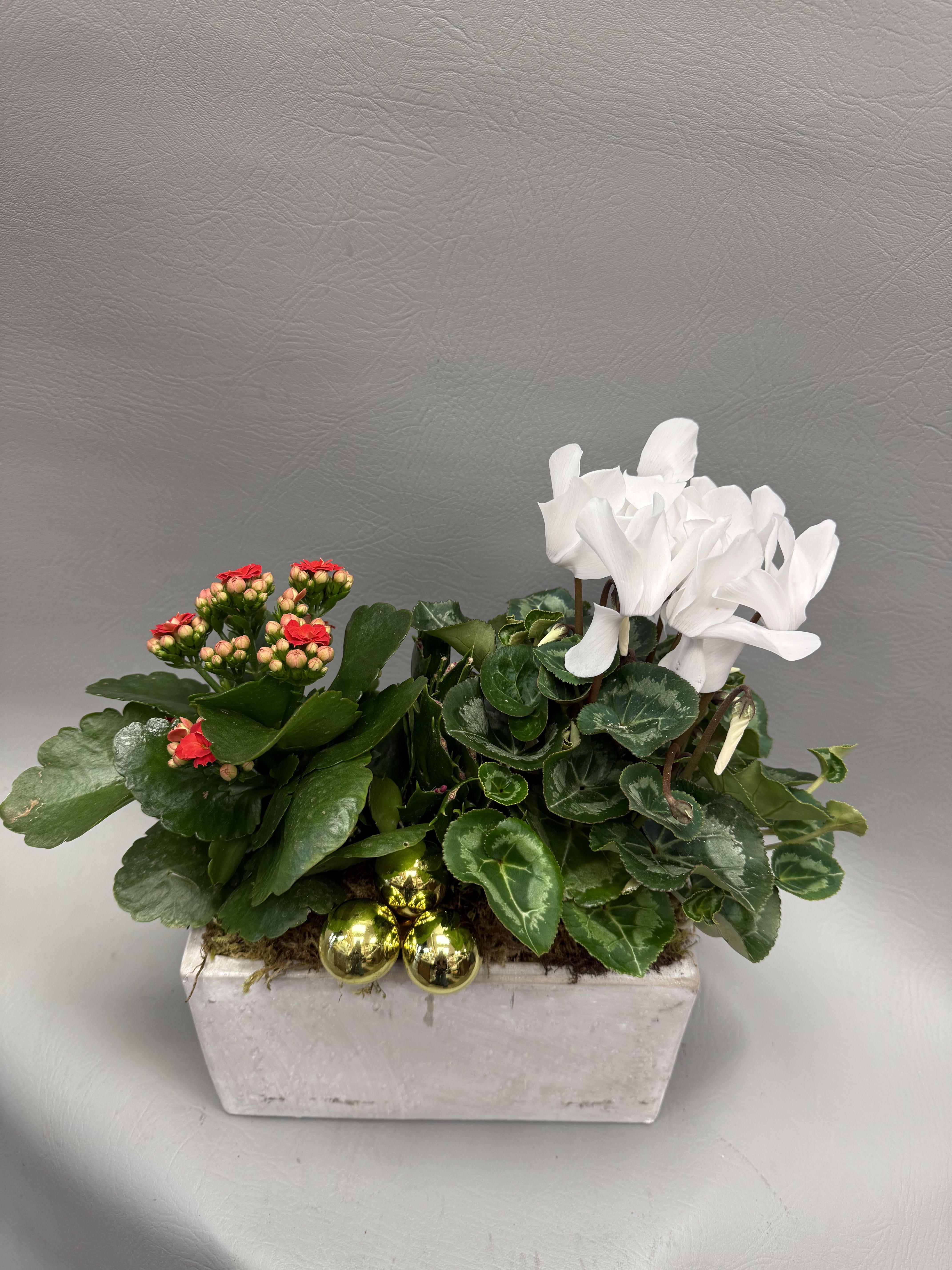 Red and white Garden  - Red and white blooms with ornaments in a concrete like container