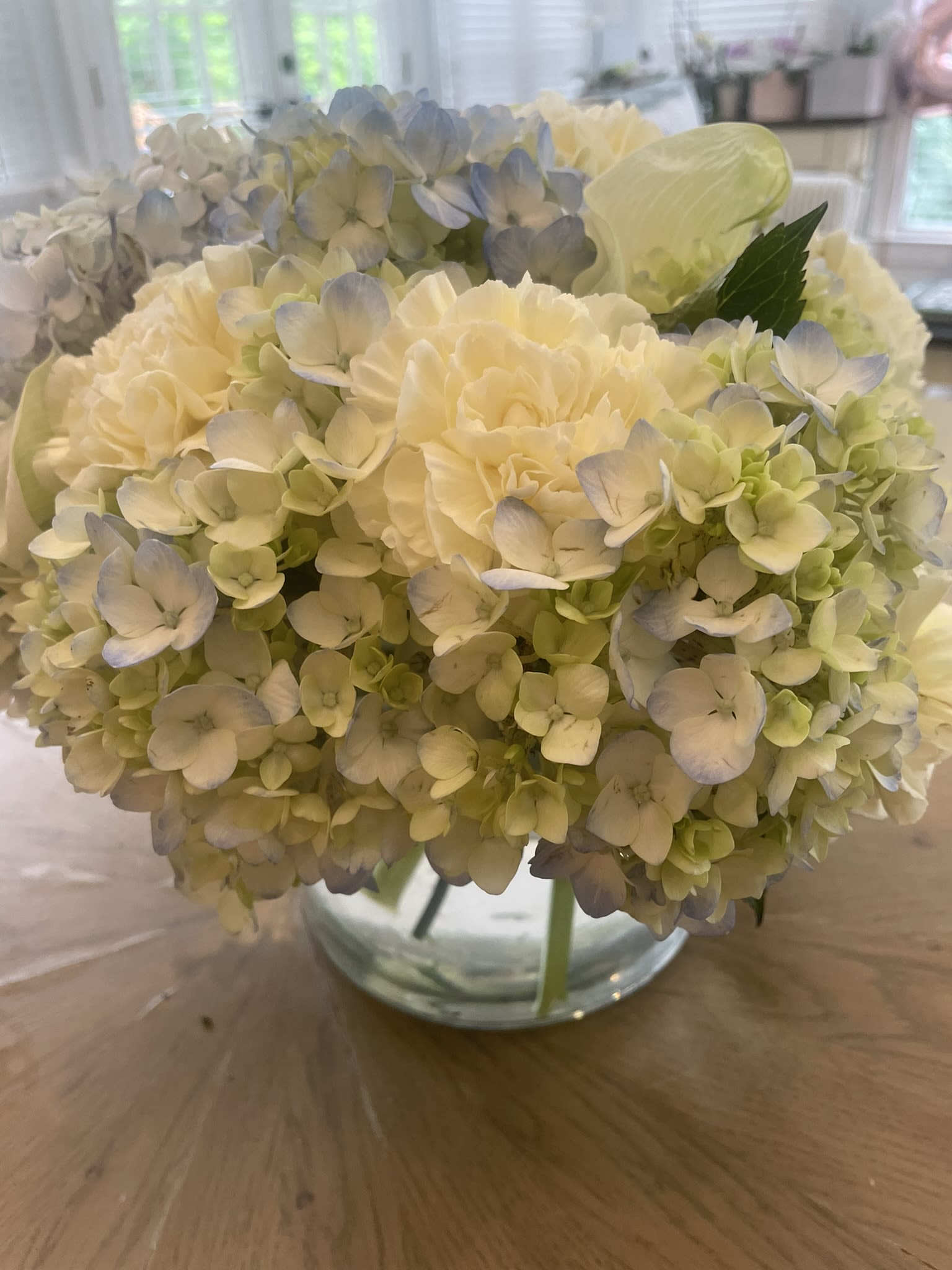 Hydrangea Dreams - An exquisitely shaped arrangement of light blue hydrangea and cream carnations provide a luminescence and gentle fragrance. Appropriate for all occasions, this selection can be upgraded to roses and larger sizes.