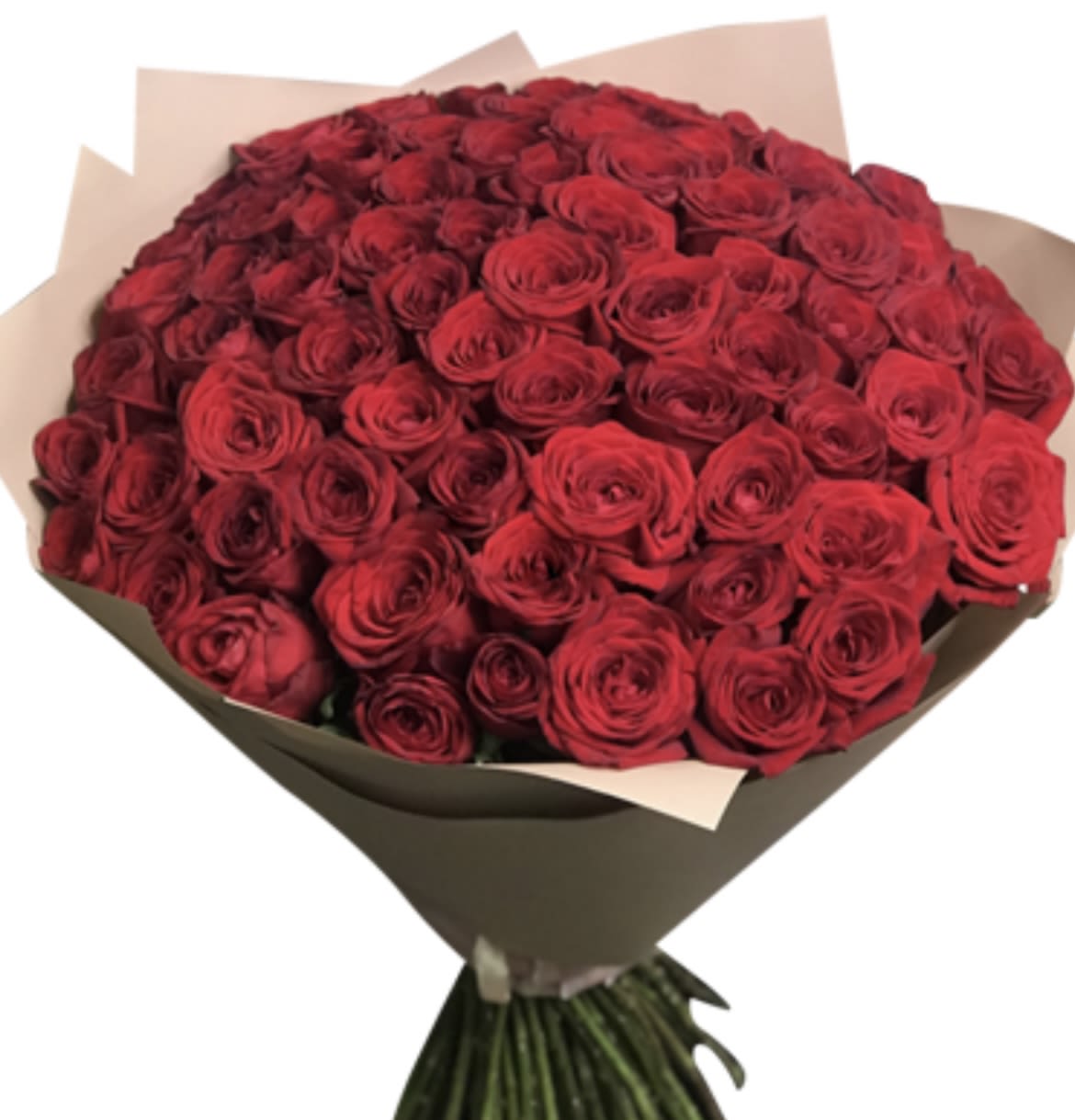 Love - red roses passion of love