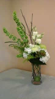Captivating Succulents - Floral arrangement in a special glass vase with bells of ireland, white hydrangea, white lisianthus, green spiders  and succulents . For an event or  a special occasion . Please allow 1 days  to order flowers in for the design.