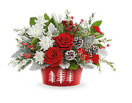 Snowy Pines Centerpiece - Celebrate the season with Snowy Pines Centerpiece. Bursting with red roses and white blooms in Snowy Pines Dish, this festive design brings winter magic to Christmas tables and holiday gatherings.   Snowy Pines Centerpiece features red roses, red miniature carnations, white cushion spray chrysanthemums, and white limonium. Accented with dusty miller, parvifolia eucalyptus, salal, white pine, and frosted pinecones in Teleflora's food-safe Snowy Pines Dish  Orientation: All-Around