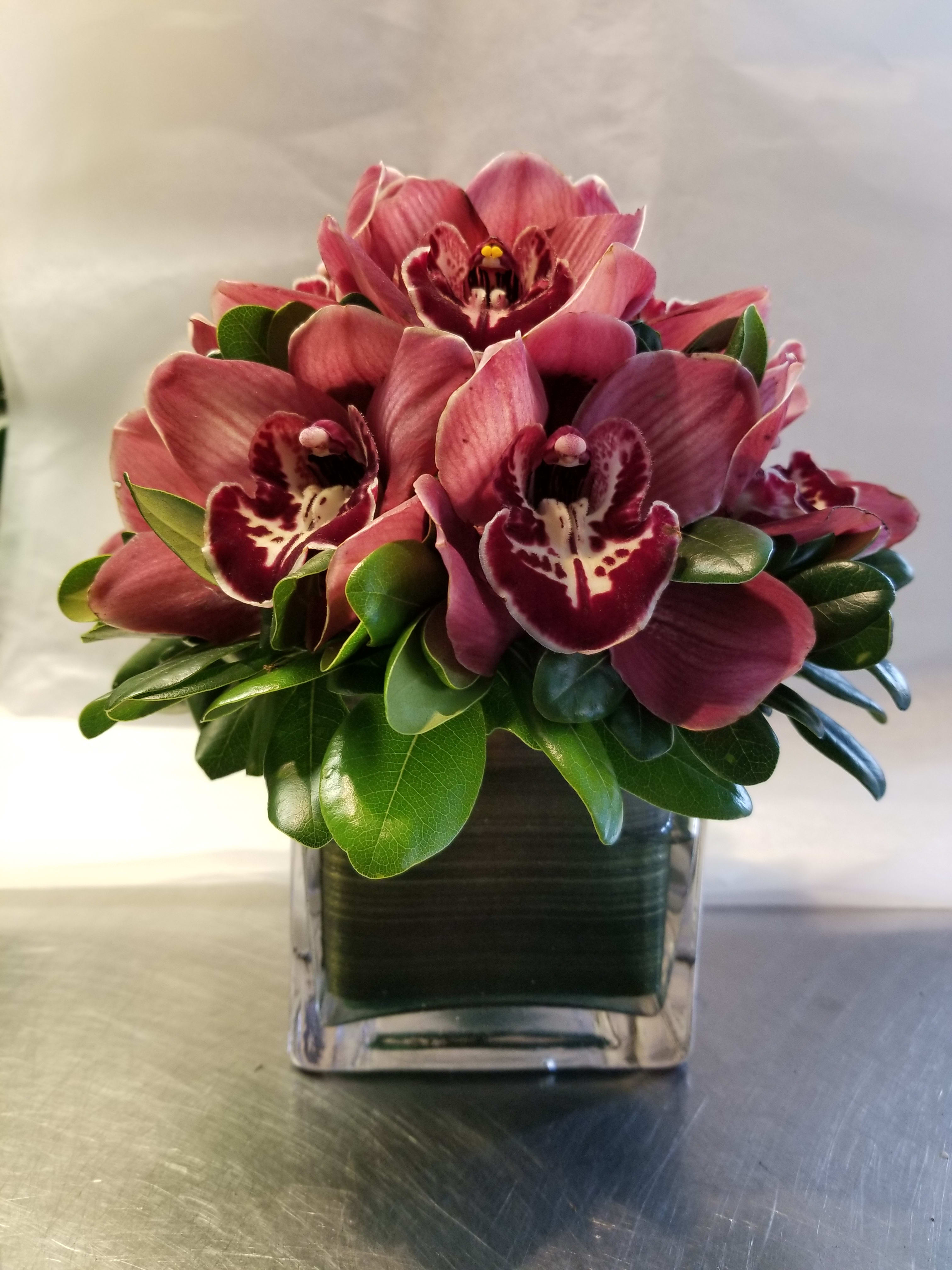 cymbidium orchids arrangement Manhattan - Upper East Side - arrangement with zesty,s 