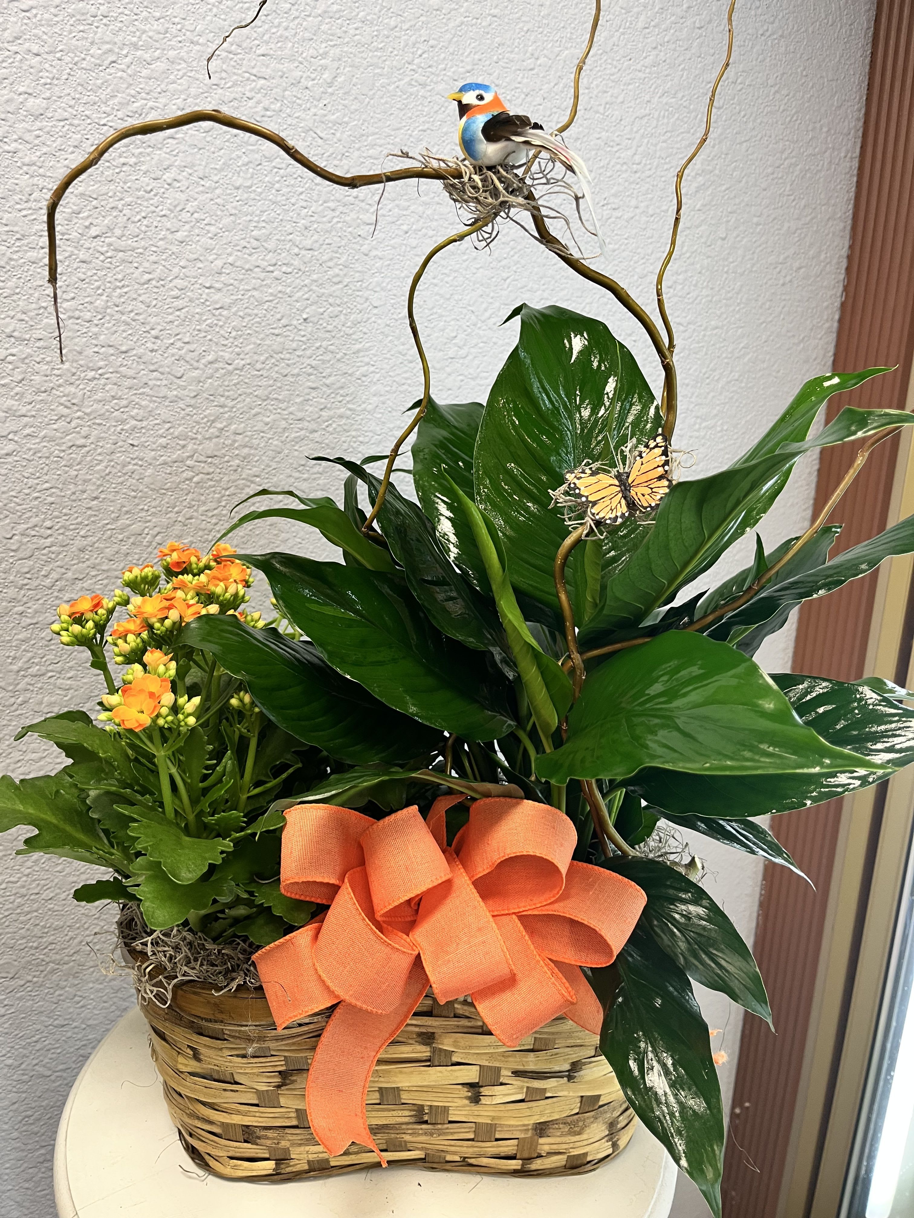 Double Basket Planter - One 6" green plant and one 6" blooming plant beautifully decorated with moss and matching bow and a butterfly and nested bird on curly willow. *Container style may vary* *Blooming plant color may vary*
