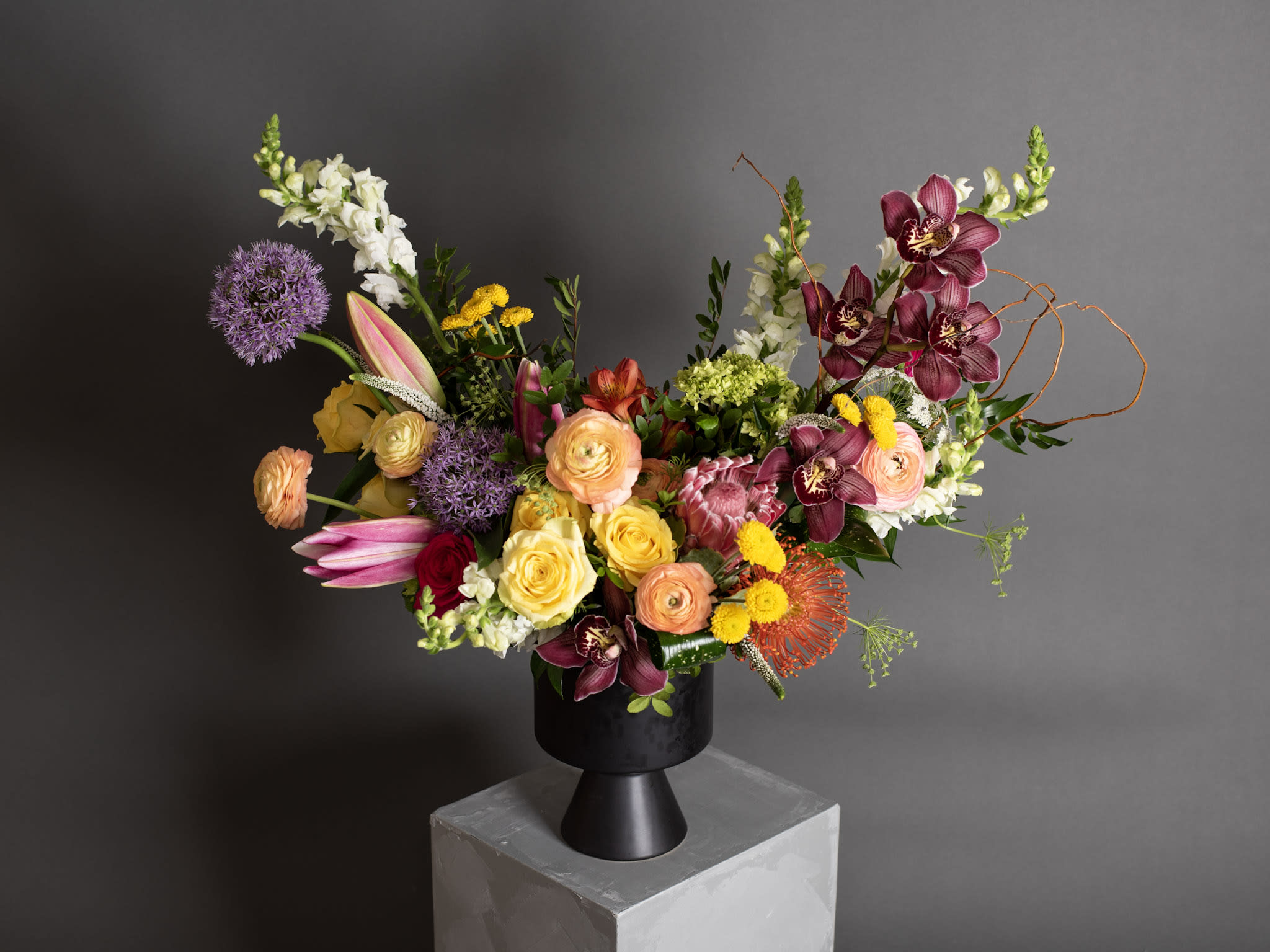 St Lucia, Wanderlust Series - Ceramic Pot Arrangement - This exquisite floral arrangement in a black ceramic vase features vibrant allium, roses, ranunculus, protea, cymbidium orchids, and lilies, with delicate snap dragons and Queen Anne's lace, and whimsical curly willow. A work of art that evokes serenity, joy, and regal sophistication. Perfect for expressing love or adding elegance to any space. Pot size : 6.5in X 9.25in