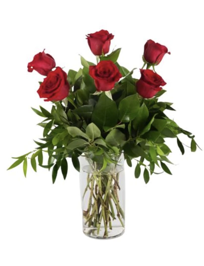 Half a Dozen Red Roses - Your devotion, delivered. Surprise your special one with this gorgeous arrangement of half a dozen long-stemmed red roses. It's a timeless testimony of your love she won't forget.