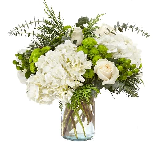 Winter Bliss Bouquet - This monochromatic beauty glistens just like the first snow and adds freshness to any celebration. It comes arranged with roses, hydrangea and accents of greens.