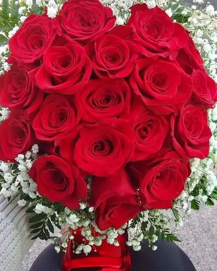 Heartbeat  - 2 DZ premium roses artistically designed in a heart shape in a red vase outlined in baby's breath. 