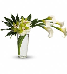 Simply Elegance  - 5 Calla Lilies, 3 cymbidium orchids, with a single white hydrangea and tropical greenery in a vase. (Available during the week, weekends if ordered in advance.)