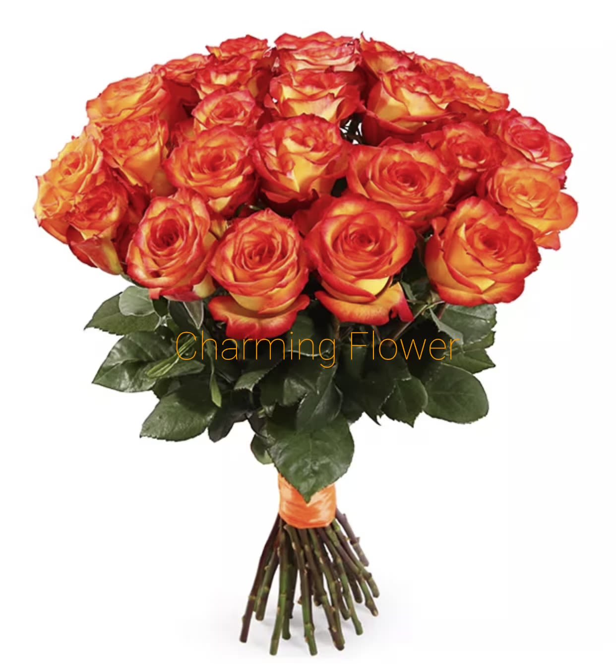 Orange Roses By VLM Flowers - This bouquet of 25 classic orange roses speaks volumes. Perfect for anniversaries or romantic surprises.                               Deluxe– 50 red roses.  Premium– 75 red roses.