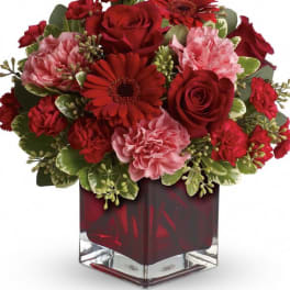 Together Forever Bouquet - Perfect for your valentine. This arrangement is designed in a red cube and includes red roses, pink carnations, red gerbera daisies and mini red carnations.