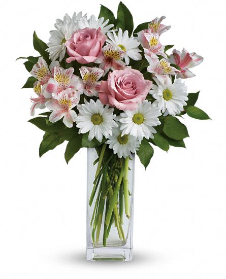 Sincerely Yours - White and Pink