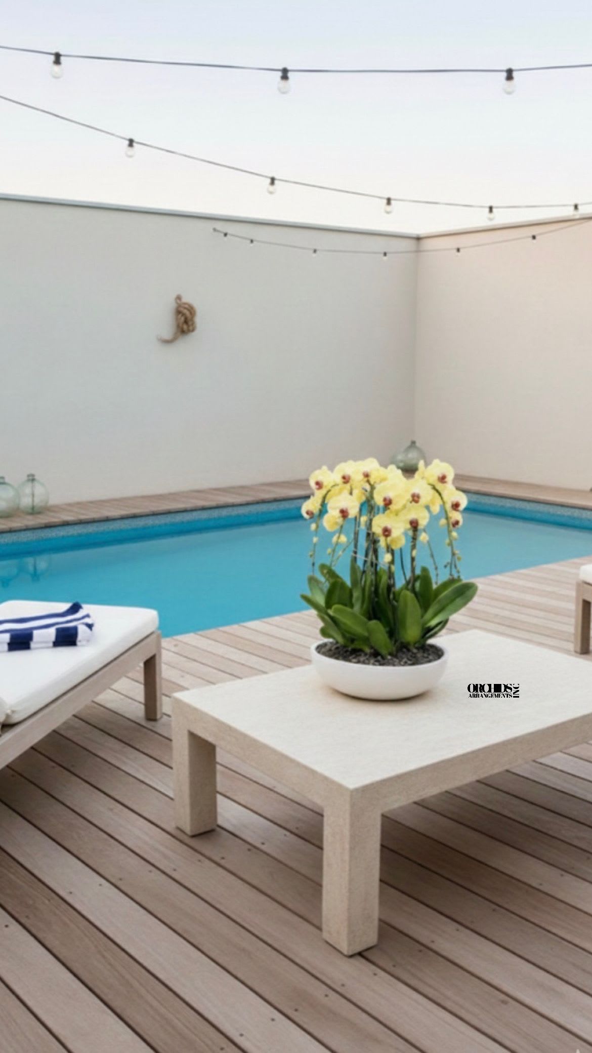 Yellow Orchids Flower Same Day - A high quality Eleven yellow orchids arrangement with a vase 20" D X 4" T. An orchids arrangement deliver for any occasion design with fresh natural real beautiful Phalaenopsis cascade orchids plants minimalist decor.