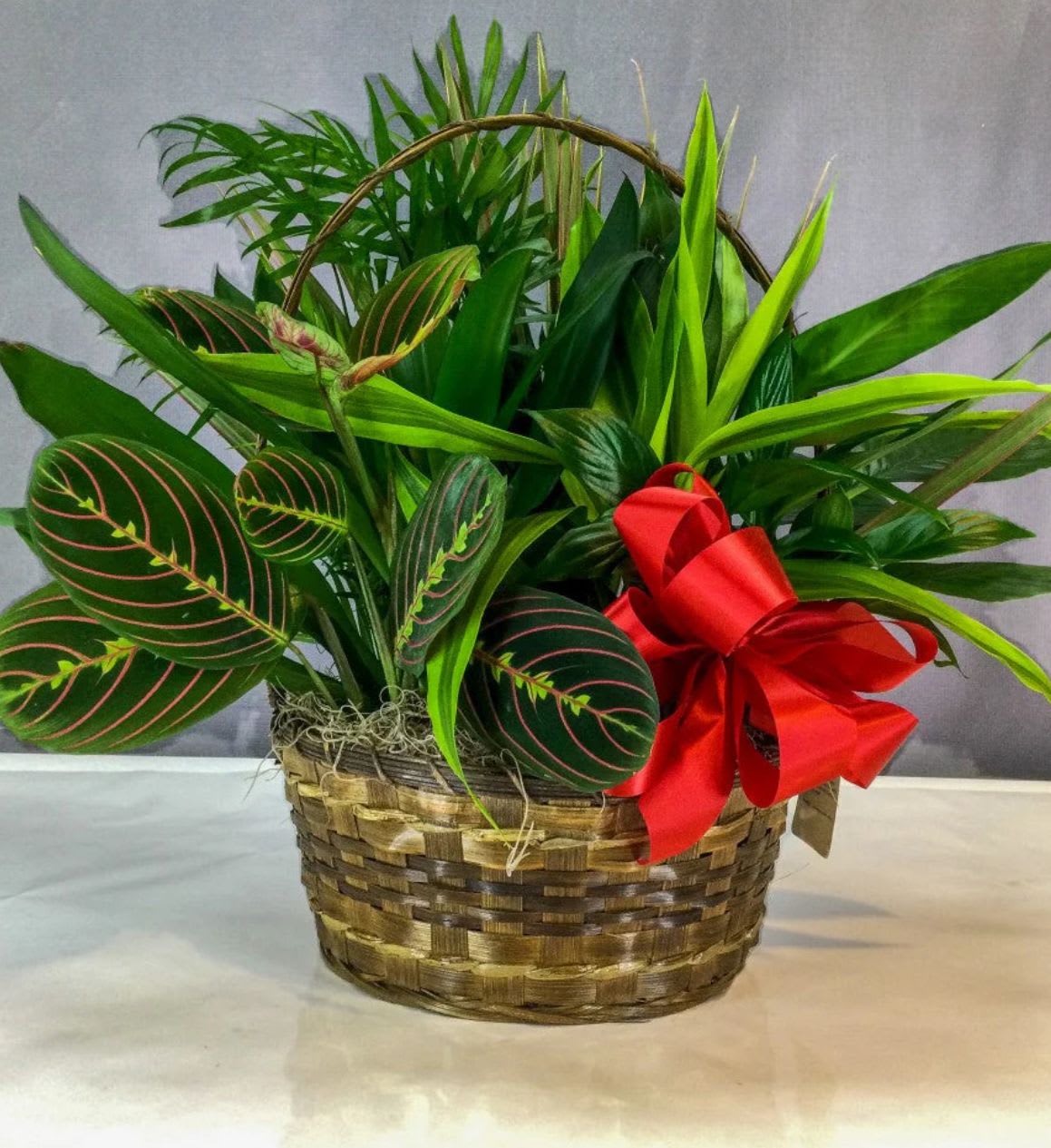 Classic Dish Gardens - Who says you need to go outside to enjoy the natural beauty of a green landscape? Our classic dish garden is hand-designed with a lush variety of fresh plants to spruce up any indoor space. Set in a charming wicker basket with a  ribbon, it’s a thoughtful gift for birthdays, housewarmings or any occasion you want to send a smile.  Bows will be replace to suit the occasion. (otherwise requested)  Product Details: Charming dish garden is hand-crafted with the freshest green plants available Arrives in a wicker basket featuring a  ribbon Planter may vary due to regional availability Large measures approximately 12"D Medium measures approximately 10"D Small measures approximately 8"D Picked at the peak of perfection delivered fresh to their door Our florists select only the finest quality plants, so types and varieties may vary due to local availability