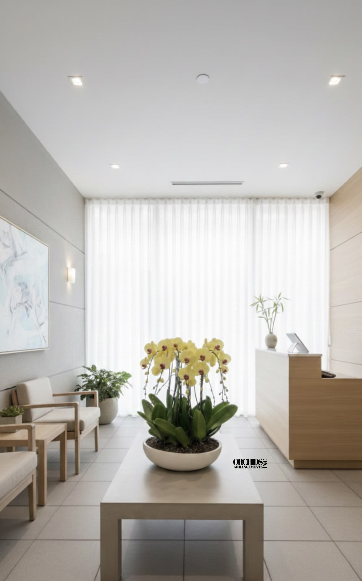 Yellow Flowers Same Day - A high quality Thirteen yellow orchids arrangement with a vase 20" D X 4" T. An orchids arrangement deliver for any occasion design with fresh natural real beautiful Phalaenopsis cascade orchids plants minimalist decor.