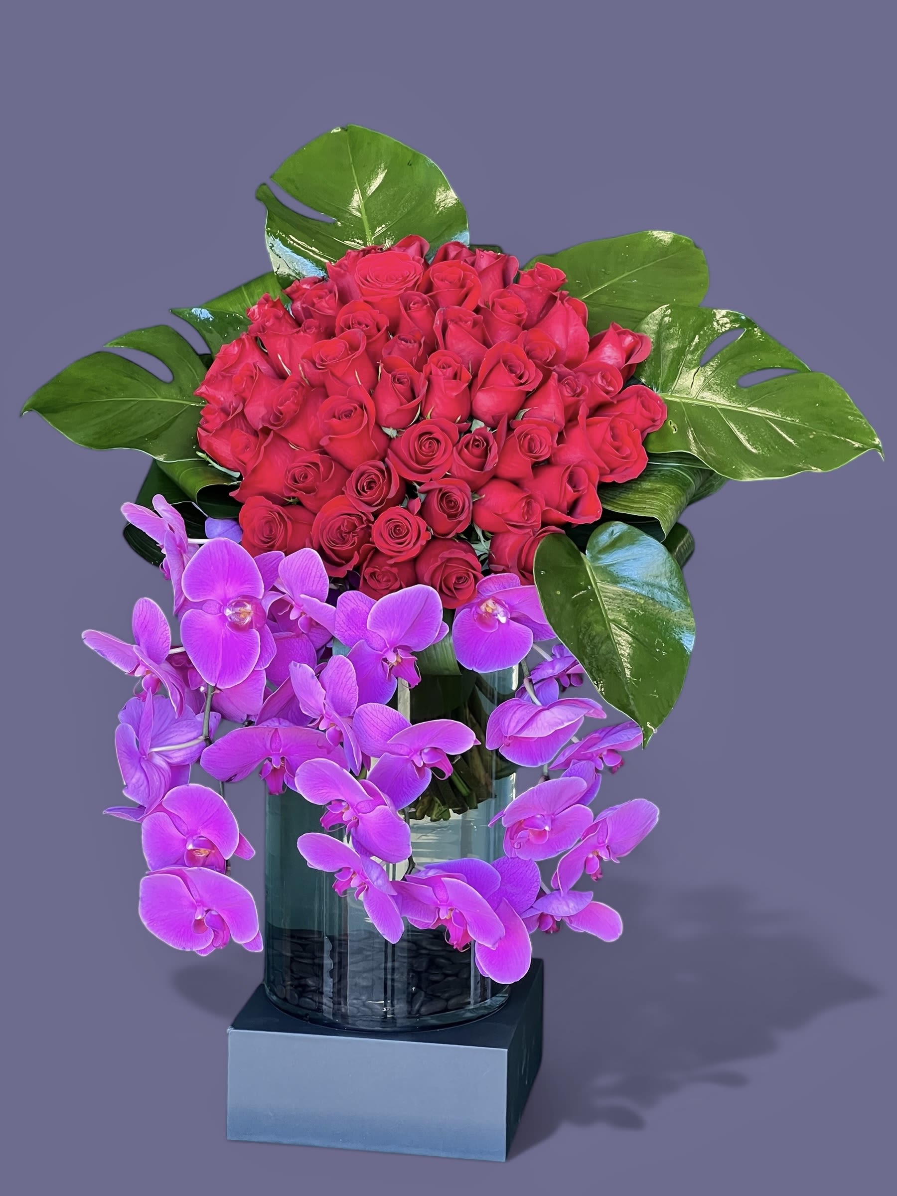 Charmed - Red roses, phalanopsis 