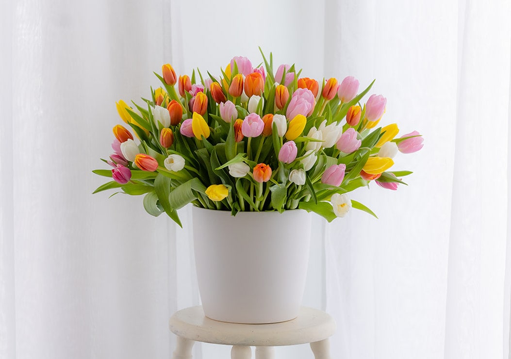 Tuileries Garden - Luxe Size  - Designed to resemble the rows of tulips in Tuileries Gardens just adjacent the Louvre in Paris. Seventy-five Dutch tulips in white, yellow, orange, light pink and deep pink. WOW! Perfect for a special occasion and to thank you or I Love You!   Our luxe sized designs are our most majestic and grand arrangements guaranteed to impress with its volume of blooms, rich design and gorgeous large ceramic vessel.  Dimensions: Arrangement is 24" high and 20" wide. Weight is approximately 30 pounds. Vase makes a lovely planter or vase for years to come. 