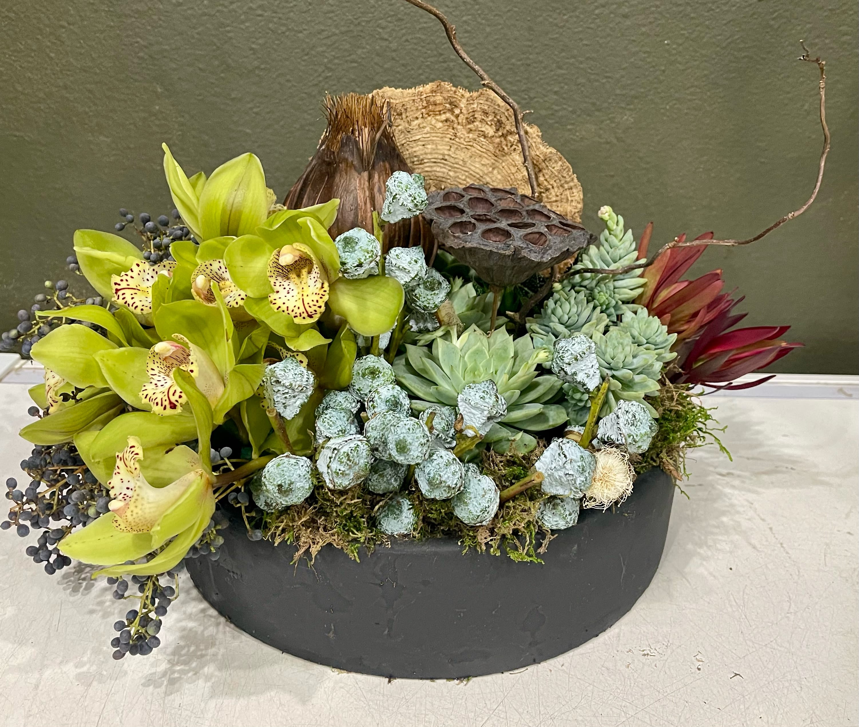 Succulent  &amp; Air Planr Texture Garden - This overflowing succulent garden is elevated design at play!  A truly stunning gift!   Perfect flowers for birthdays, "get well soon," new baby, sympathy, congratulations, romantic gestures, and "Thank you."  Available for delivery in Seattle, Bellevue, Shoreline, and surrounding areas. Available for delivery in all neighborhoods in Seattle including Magnolia, Ballard, Fremont, Downtown, Queen Anne, Crown Hill, U District, West Seattle, International District, Capitol Hill, Pioneer Square, Beacon Hill, Columbia City, Georgetown, etc. 