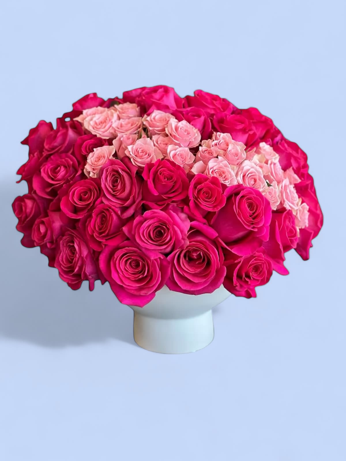 Aguilera  - Hot pink Roses, accented with a soft band of pale pink Roses, in a ceramic dish