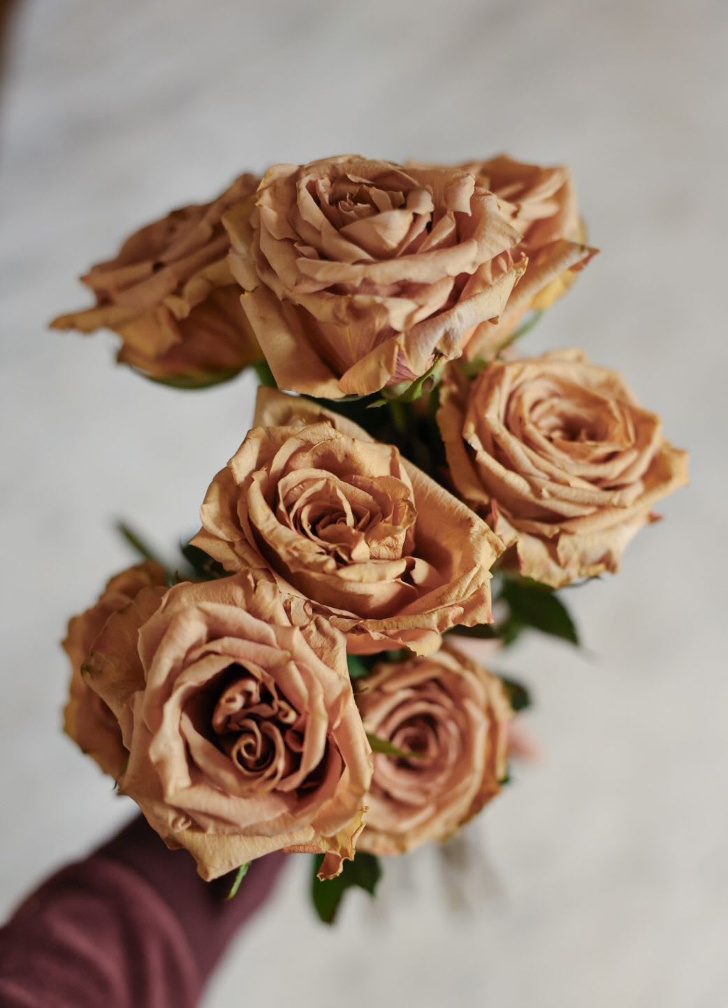 Toffee Roses  - A luxurious and hard to come by garden rose, Toffee roses are the perfect fit for the neutral color palette.  Chose from a half dozen or dozen roses. Please note this is a special order rose and not available for same day orders. 