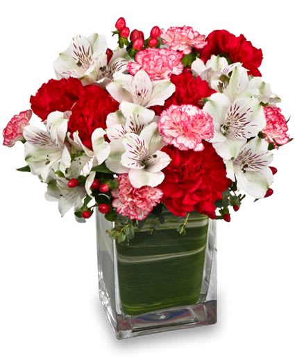 Peppermint Present - Like peppermint itself, this vibrant floral arrangement is bright, inviting and simply irresistible. Alstroemeria is combined with mixed blooms in a lovely red gathering vase. Adding the perfect "wow" factor is an unmistakably peppermint-colored red &amp; white ribbon.  Includes: • Red Miniature Carnations • White Alstroemeria • Red &amp; White Bow 