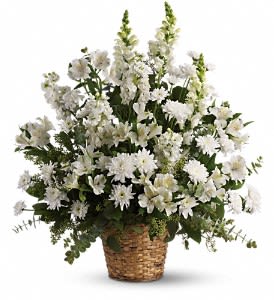 Heavenly Light - White alstroemeria, snapdragons and stock in a beautiful basket is a gift of caring that brings an air of serenity to the memorial service. Later, it will be a comfort for the family at home. This exquisite bouquet includes white alstroemeria, snapdragons, stock and cushion spray chrysanthemums and is accented with eucalyptus and lemon leaf. Delivered in a 6" natural pot basket. Approximately 25 1/2" W x 28 1/2" H