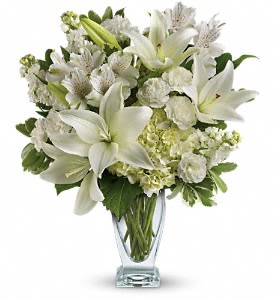 Teleflora's Purest Love Bouquet DX - Who's the fairest of them all? This snow-white bouquet. A stunning statement of your purest love, this mix of hydrangea and lilies in a Couture vase will take their heart away. This snow-white bouquet includes hydrangea, asiatic lilies, alstroemeria, miniature carnations, stock and fresh green pittosporum. Delivered in a Couture vase. Approximately 15 1/2" W x 18" H