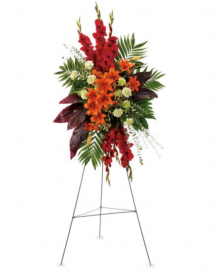 A New Sunrise Spray - While the loved one is no longer present, there are happy times that will never be forgotten. This radiant spray of red and orange flowers will be a lovely reminder. The stunning arrangement includes orange Asiatic lilies, red gladioli, green carnations, peach hypericum, emerald palm and red ti leaves, accented with assorted greenery. Approximately 31" W x 50" H This item is hand-arranged and delivered by our florist. All prices in U.S. Dollars.