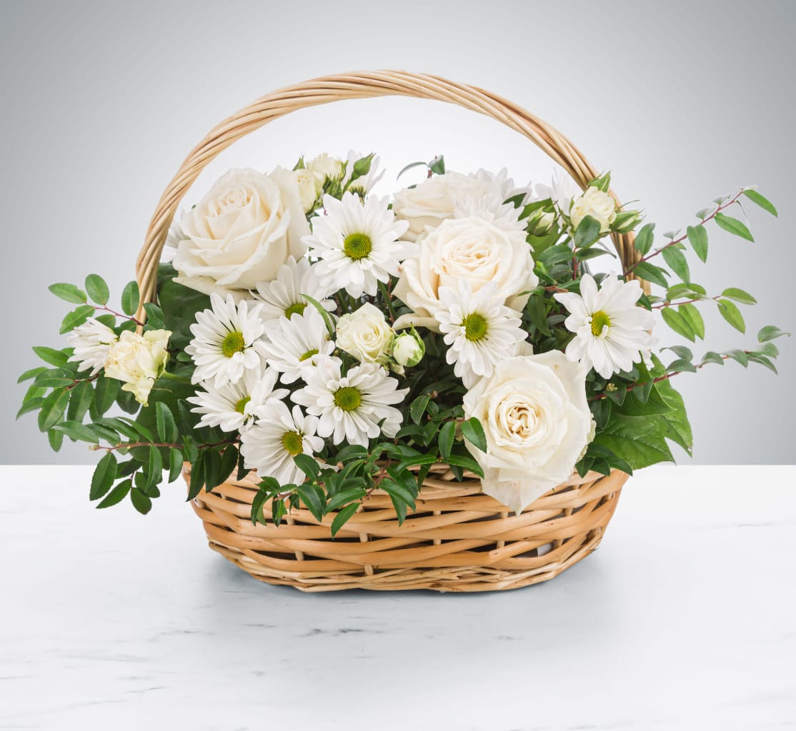 Pristine  - A peaceful white and green basket featuring white daisy mums and white roses with greenery in a basket. Send your sympathies to the home with Pristine by Majestic Blooms.  Approximate Dimensions: 14"D x 10"H