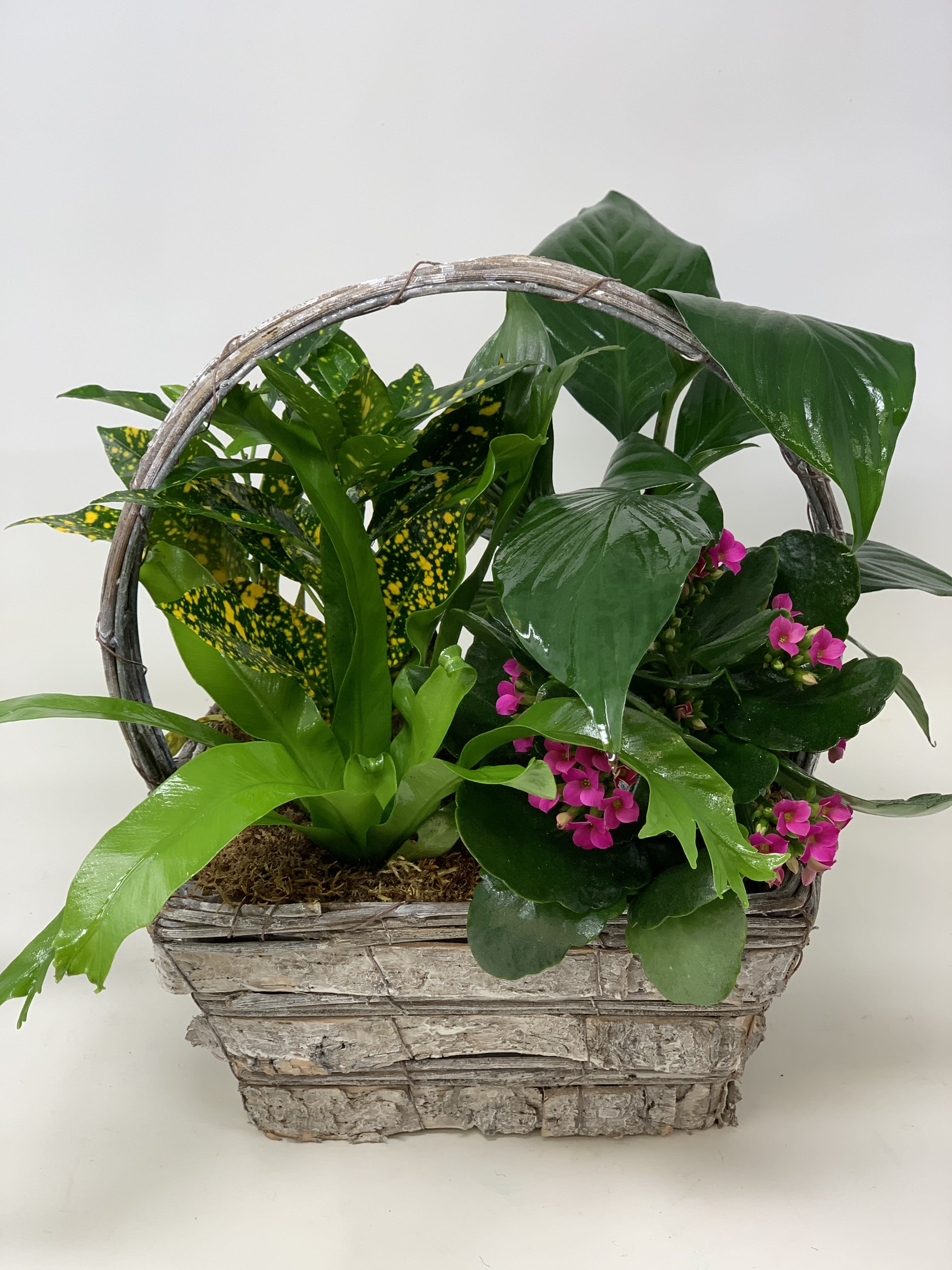 European Garden - Combination of flowers and plants arranged in a basket.  *ORDER MUST BE PLACED AT LEAST 2-3 IN ADVANCE*