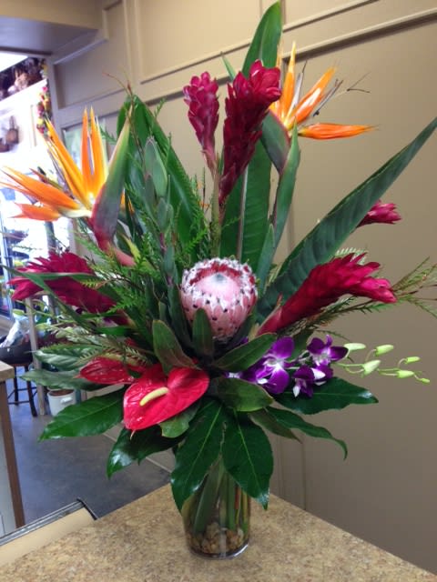 In the Tropic - A lush and lovely selection of fresh tropicals artfully arranged in a clear glass vase. Flowers include ginger, bird of paradise, dendrobium orchids, anthuriums and tropical foliage. 