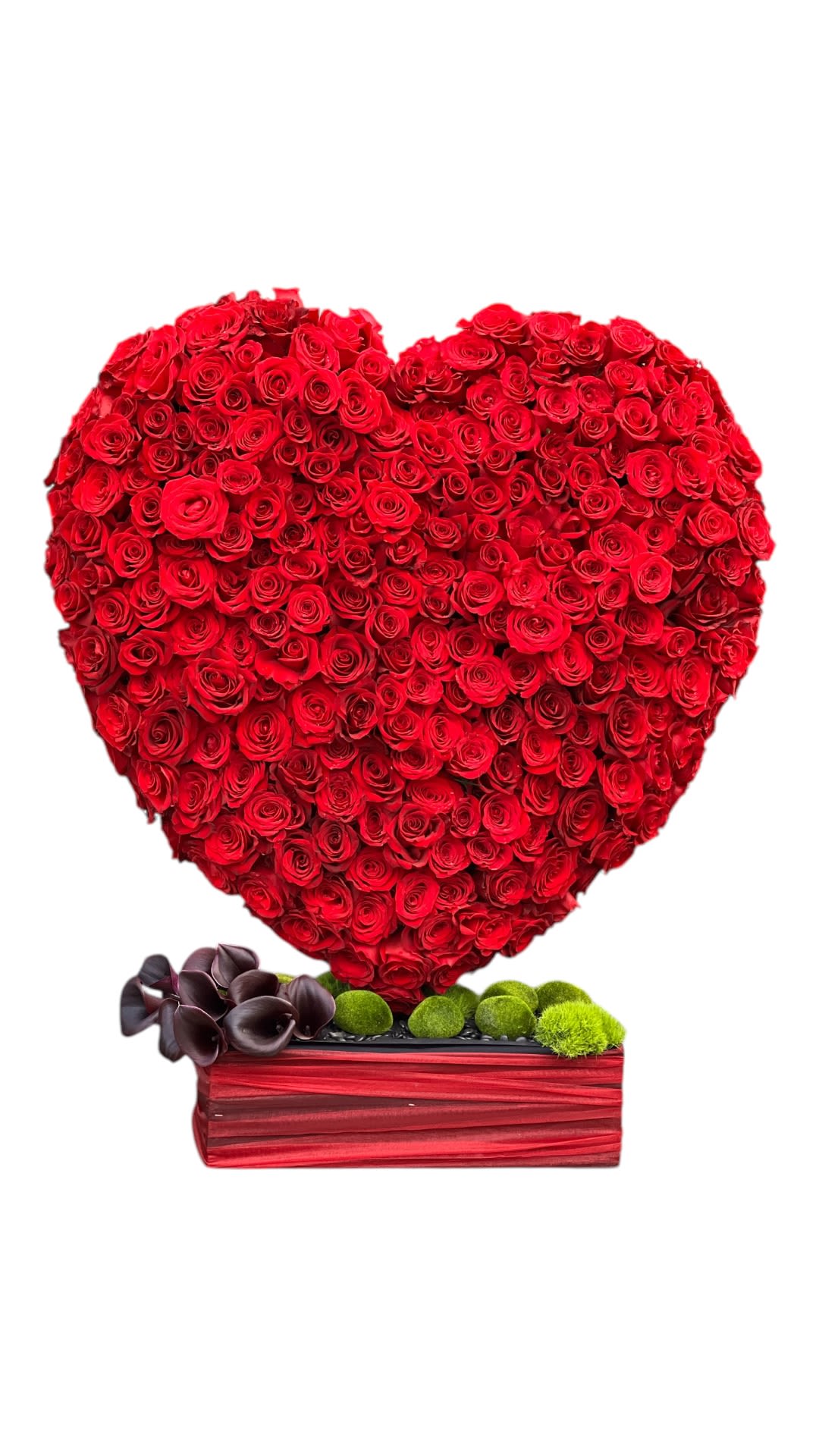 Cupid's Design - A beautiful heart-shaped Rose arrangement, accented with black Calla Lilies, adorned with Moss