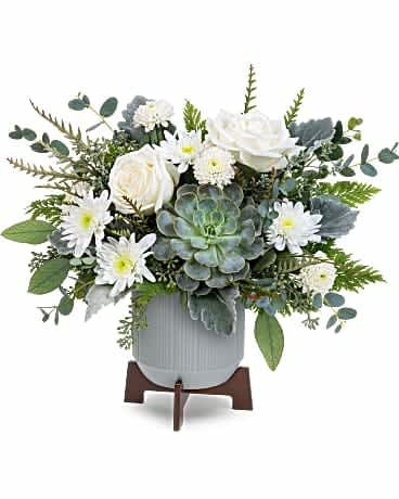 Teleflora's Tranquil Clouds Bouquet - Inspired by tranquil clouds, this elegant bouquet of white blooms and varying greens is perfectly arranged in a planter. White roses, white cushion spray chrysanthemum, white button spray chrysanthemum, and a succulent are accented with dusty miller, leather leaf, and eucalyptus. The bouquet is delivered in a planter.