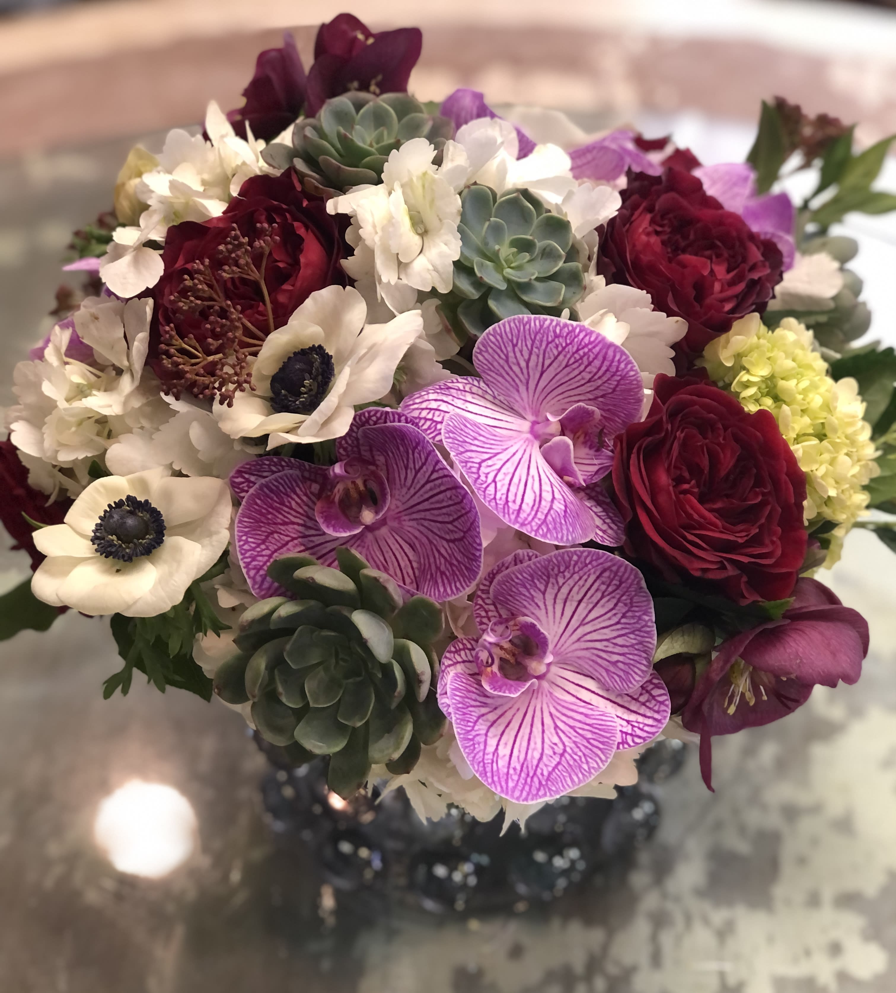 LUXURIOUS BUBBLES - Bubblicious' larger cousin with even more fabulous blooms.