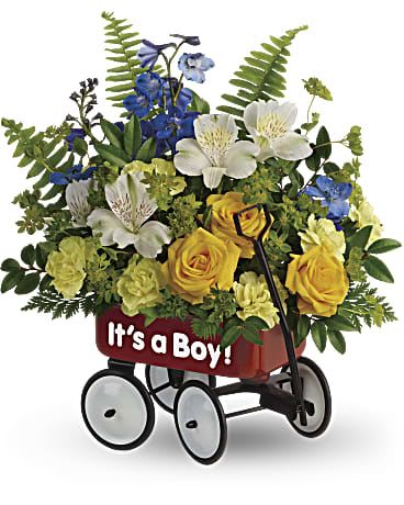 Teleflora's Sweet Little Wagon Bouquet - A wondrous welcome wagon for the sweet little boy! Brimming with luxurious yellow, white and blue blooms with fresh greens, this cool red wagon is a whimsical way to celebrate a new arrival.  Yellow spray roses, white alstroemeria, miniature yellow carnations, and blue delphinium are arranged with bupleurum, sword fern, huckleberry and leatherleaf fern. Delivered in Teleflora's Baby's First Wagon.